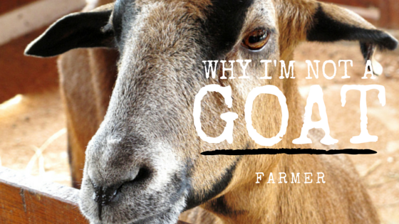 Why I'm Not a Goat Farmer